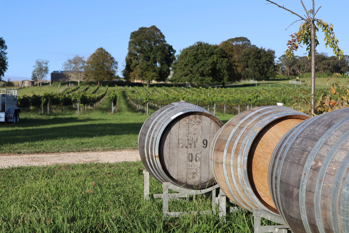 Dawning Day Winery & Distillery