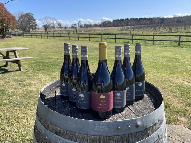 Six bottles of wine displayed on top of a wooden barrel in an outdoor vineyard setting under a blue sky.