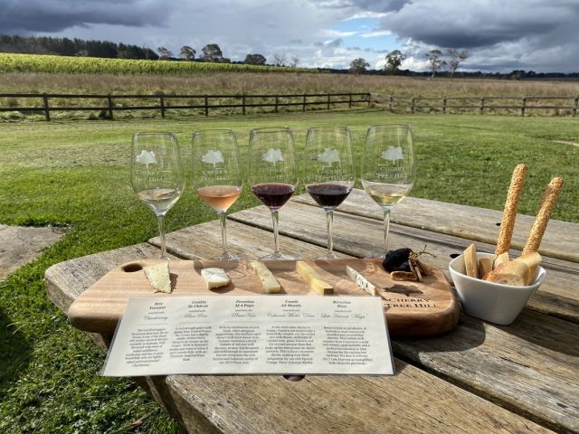 A wine and cheese tasting setup on a rustic wooden picnic table outdoors, with five wine glasses filled with different colored wines, cheese wedges and slices, breadsticks in a small bowl, and a printed tasting card in front. A vineyard and grassy field are visible in the background under a cloudy sky.