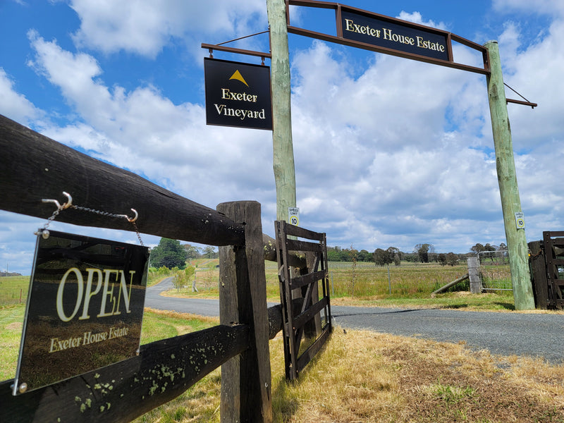 Exeter Vineyard