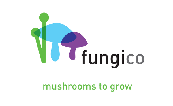 Mittagong Mushroom Tunnel